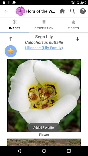 Flora of the Wasatch Screenshot 3