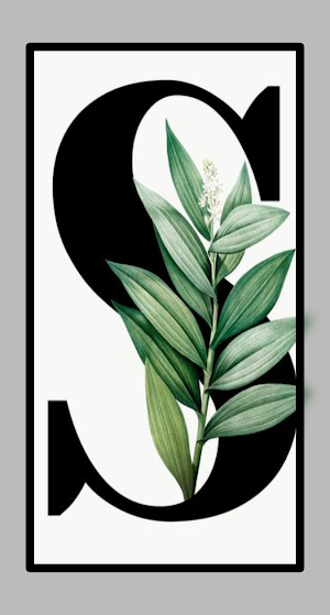 S Letter Wallpaper HD Pro Screenshot 3
