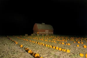 Pumpkinhead's Party: Horror Screenshot 0