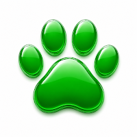 PackPlan: The Dog Walker’s App
