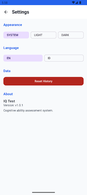 IQ Test Online Screenshot 3