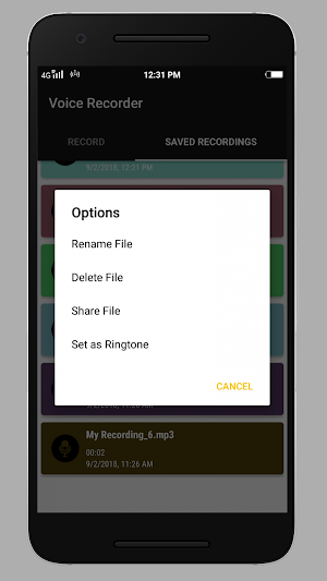 Smart Voice Recorder Screenshot 2