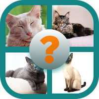 CATS QUIZ