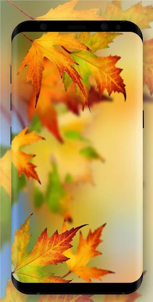 Autumn Wallpaper Screenshot 2