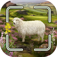 Dartmoor Smart Counter