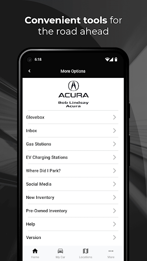 Bob Lindsay Acura Screenshot 2