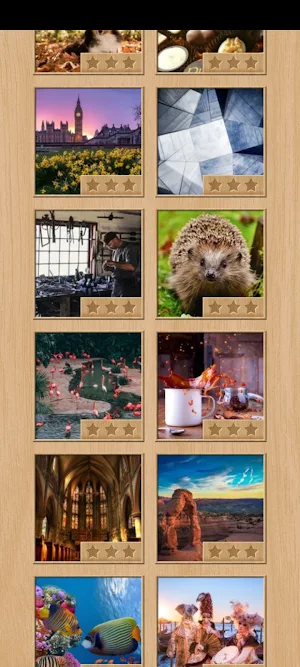 GIGSAW PUZZLE Screenshot 0