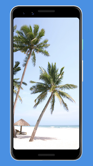 Summer Wallpapers & Background Screenshot 2