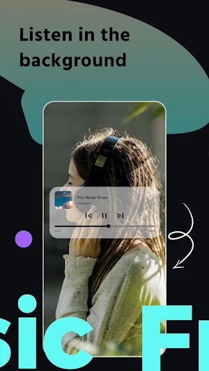 Mixtube Pro-LyricLoop Screenshot 2