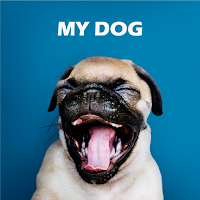 My Dog: cuidado animal y más