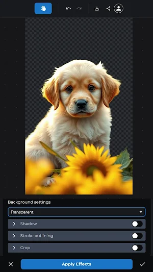 Zoner AI Editor Screenshot 2