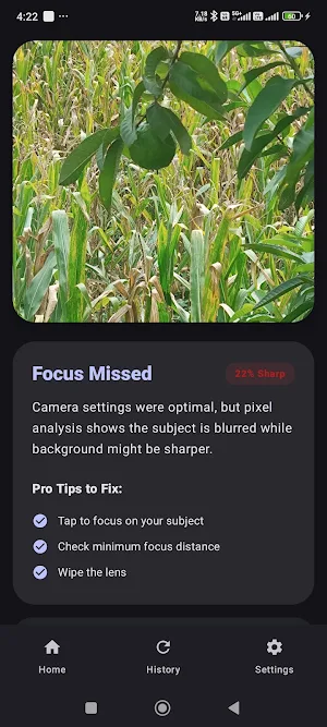Why Is My Photo Blurry? Screenshot 3