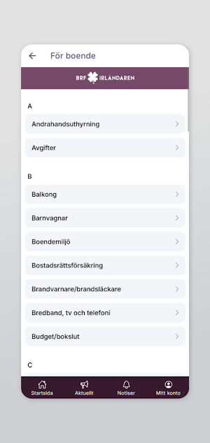 BRF Irländaren Screenshot 1