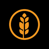 IBCC