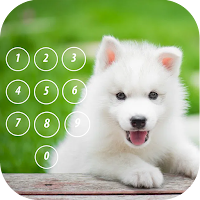 Puppy Dog Lock Screen
