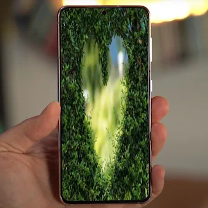 garden wallpapers Screenshot 2