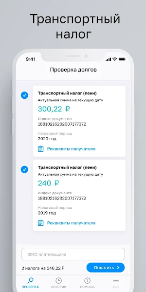 Налоги физических лиц - проверка и оплата Screenshot 1