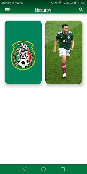 Mexico Soccer Team - Gold Cup Screenshot 3