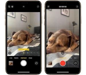 Camera iPhone 14 Pro Max Style Screenshot 1
