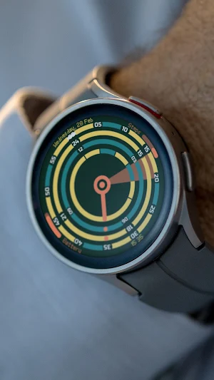 Bullseye Watch Face Screenshot 3