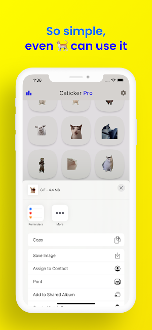 Caticker: Cat Meme Stickers Screenshot 2