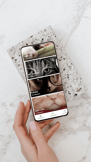 Cute Cat Wallpapers 2024 Screenshot 2