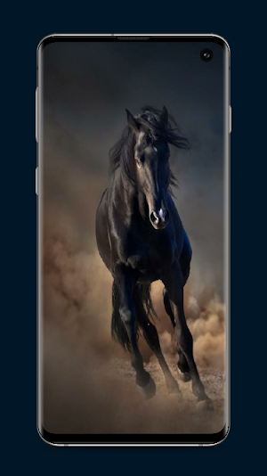 Horse Wallpapers Screenshot 1