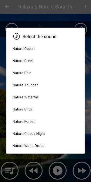 Relaxing Forest Nature Sounds Screenshot 1