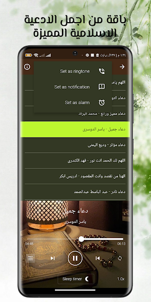القران علاء عقل بدون نت Screenshot 2