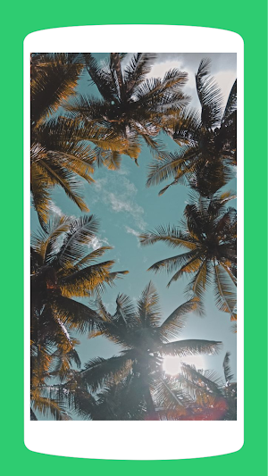 Coconut Tree Wallpaper HD 4K Screenshot 2
