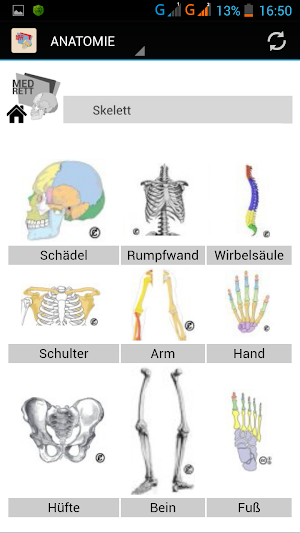 Anatomie-MedRett Screenshot 1