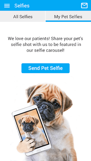 CentralVetBIM Screenshot 3