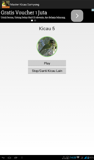 Master Kicau Samyong Screenshot 3