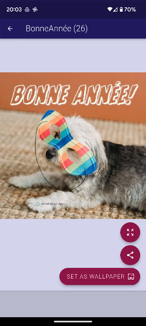 Bonne Année Félicitations Screenshot 3