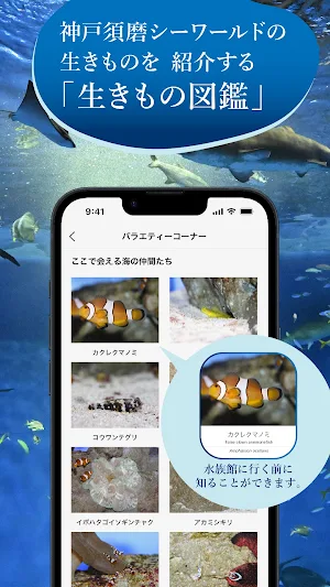 神戸須磨シーワールド公式アプリ Screenshot 3