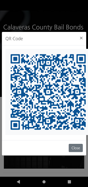 Bail Bonds Finder Screenshot 3