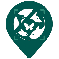 Terracatch