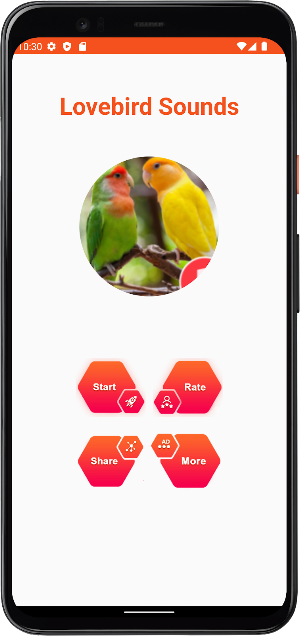 Lovebird Sounds Screenshot 1