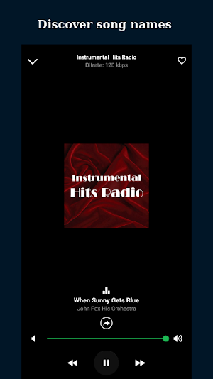 Online Radio Mexico: FM & AM Screenshot 2