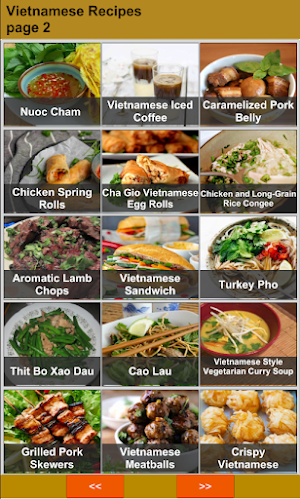 Vietnamese Recipes Offline Screenshot 1