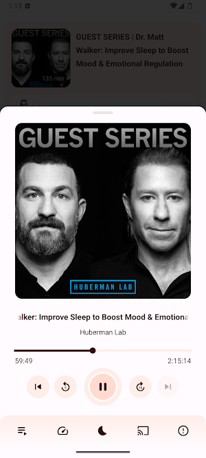 Podcast+ Screenshot 2