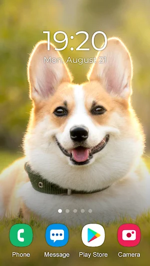 Husky Dog Wallpaper 2023 Screenshot 2