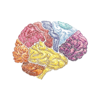 NeuroRes