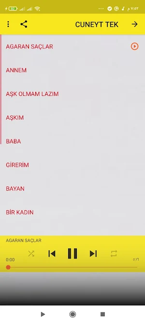 cuneyt tekin şarkilar Screenshot 0