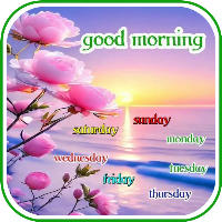 Good morning for everyday