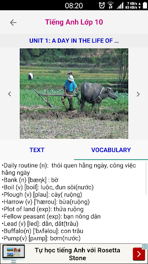 Tieng Anh Lop 10 - English 10 Screenshot 1