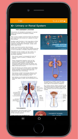 Anatomy and Physiology (Human) Screenshot 0