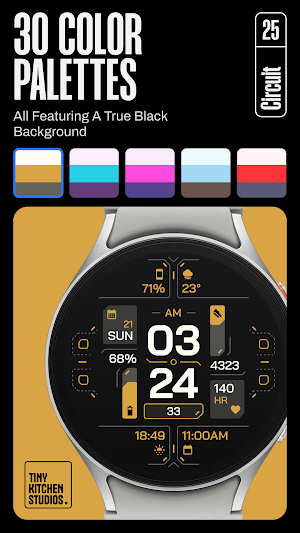 TKS 25 Circuit Watch Face Screenshot 2