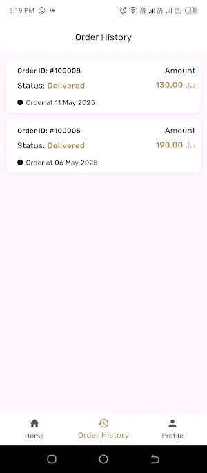 Baynounh Driver Screenshot 2