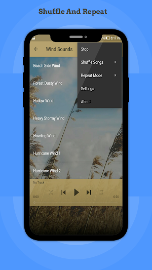 Wind Sounds Screenshot 0